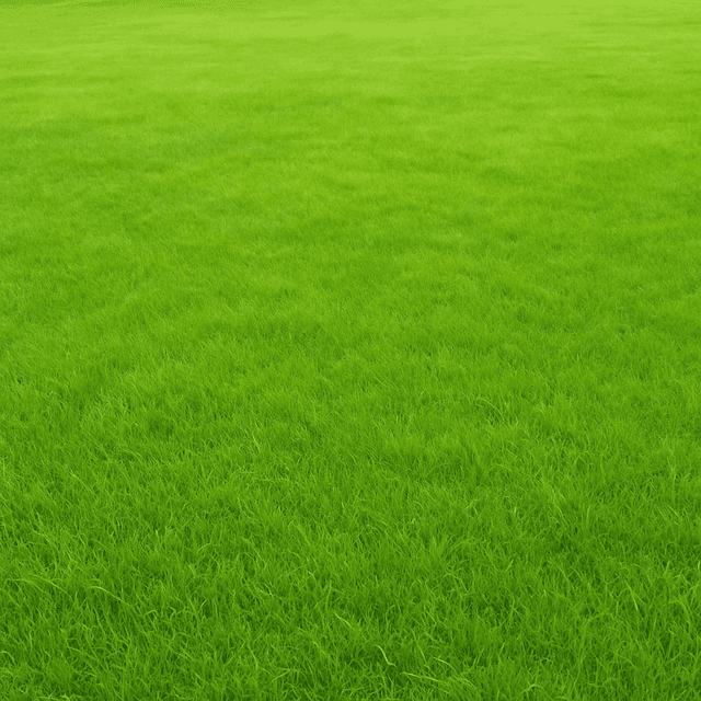 Natural vs artificial turf comparison