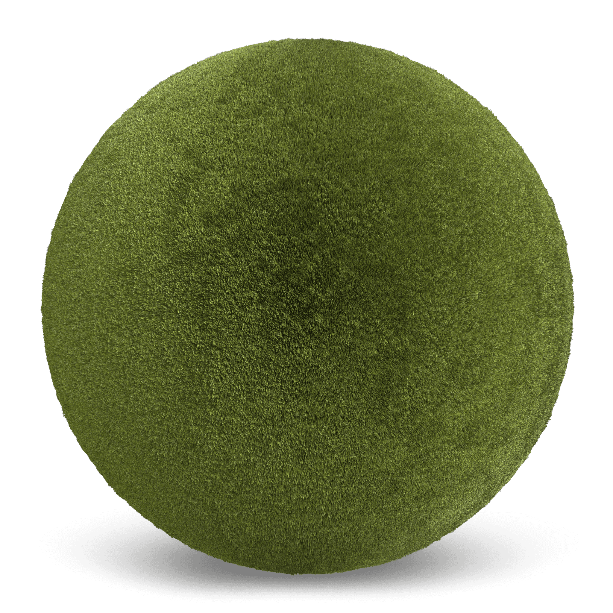 Blossom 38
