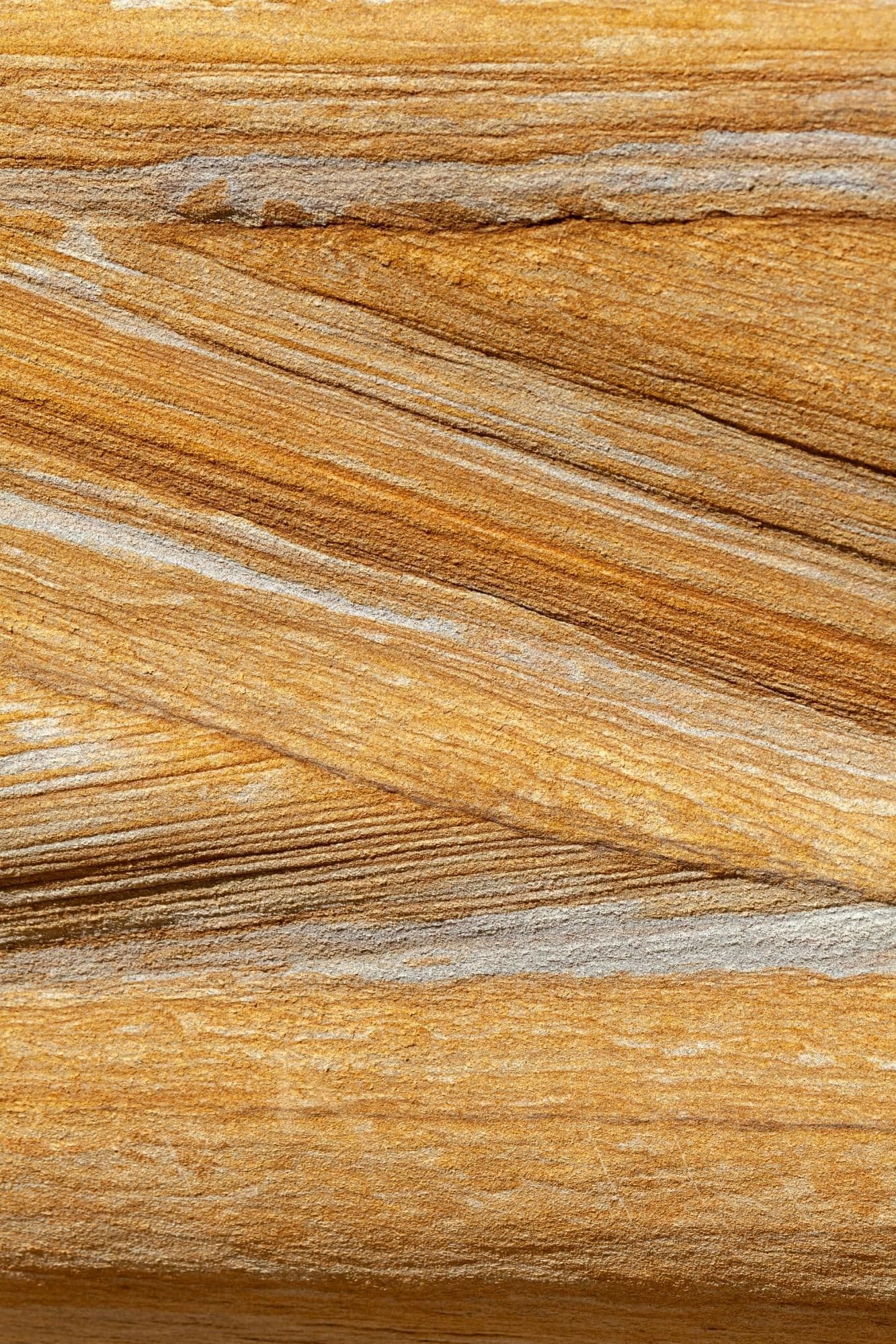 Europeanco Image