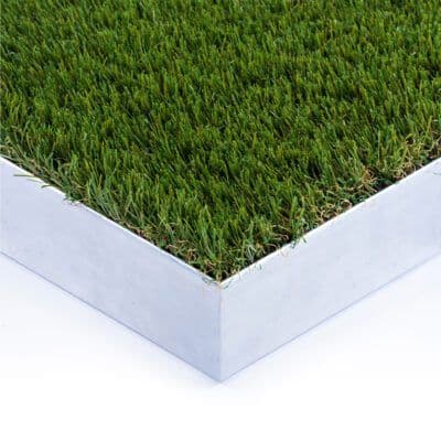 GP Shadowland: Transform Your Garden with Shady Elegance