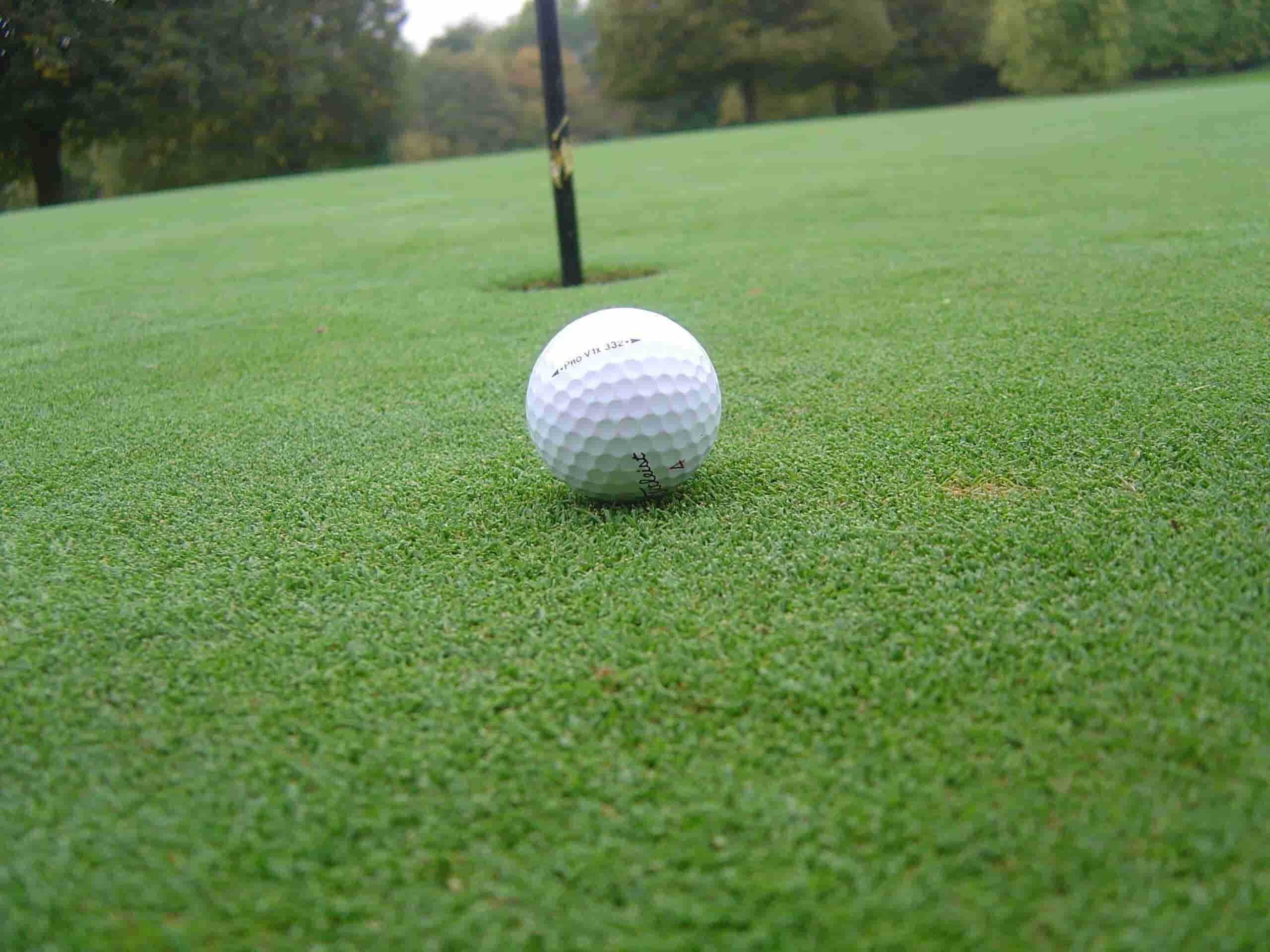 Turf