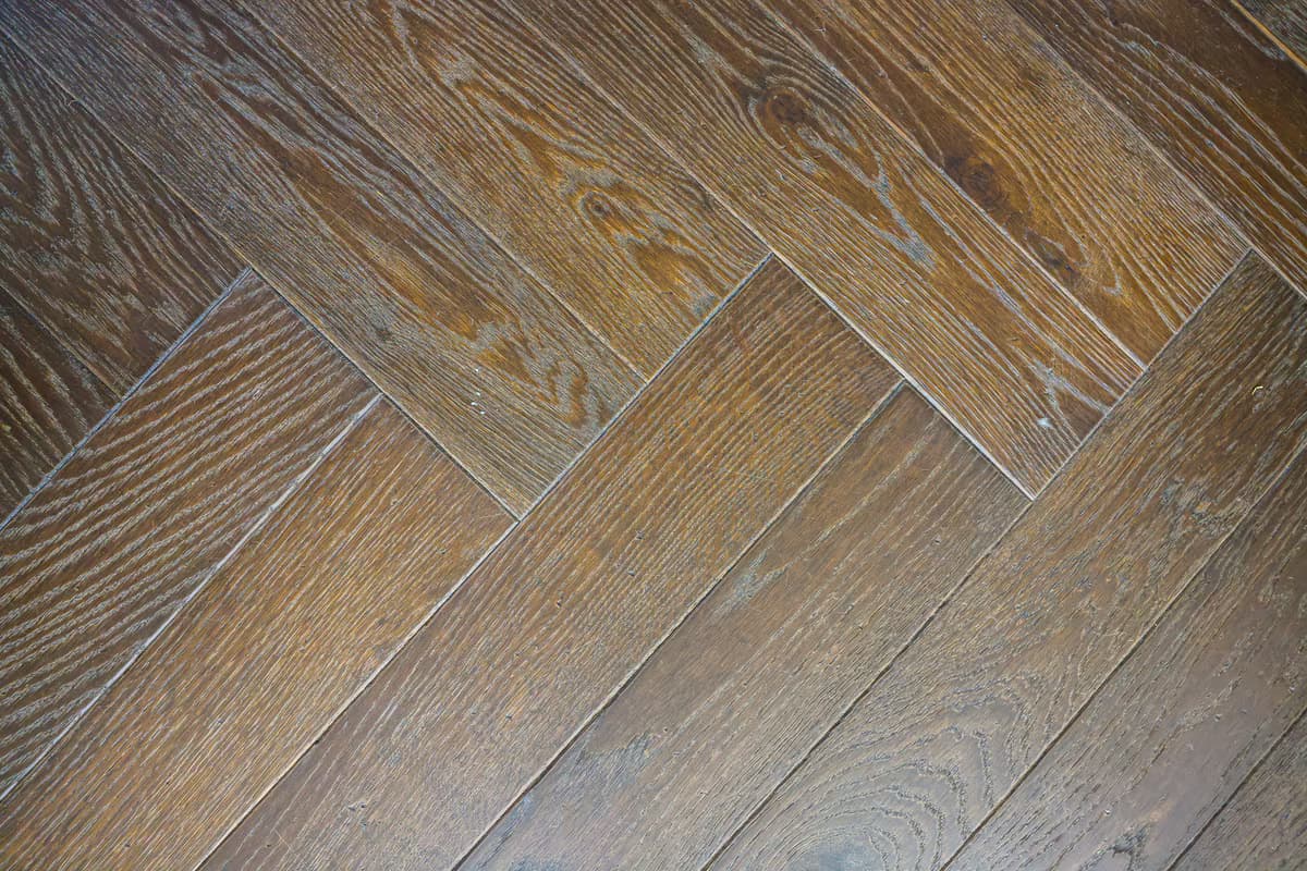European Wood Collection