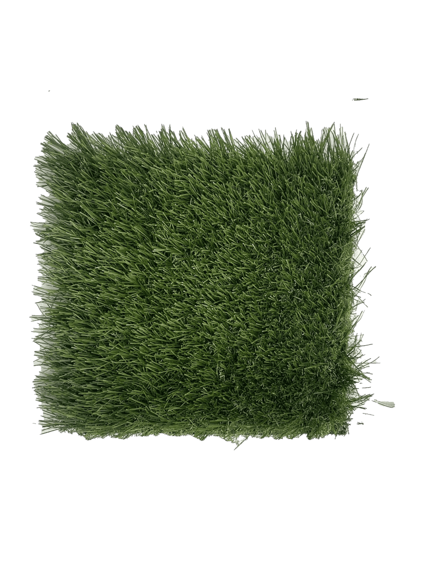 GP Spring 50-13ft view 2