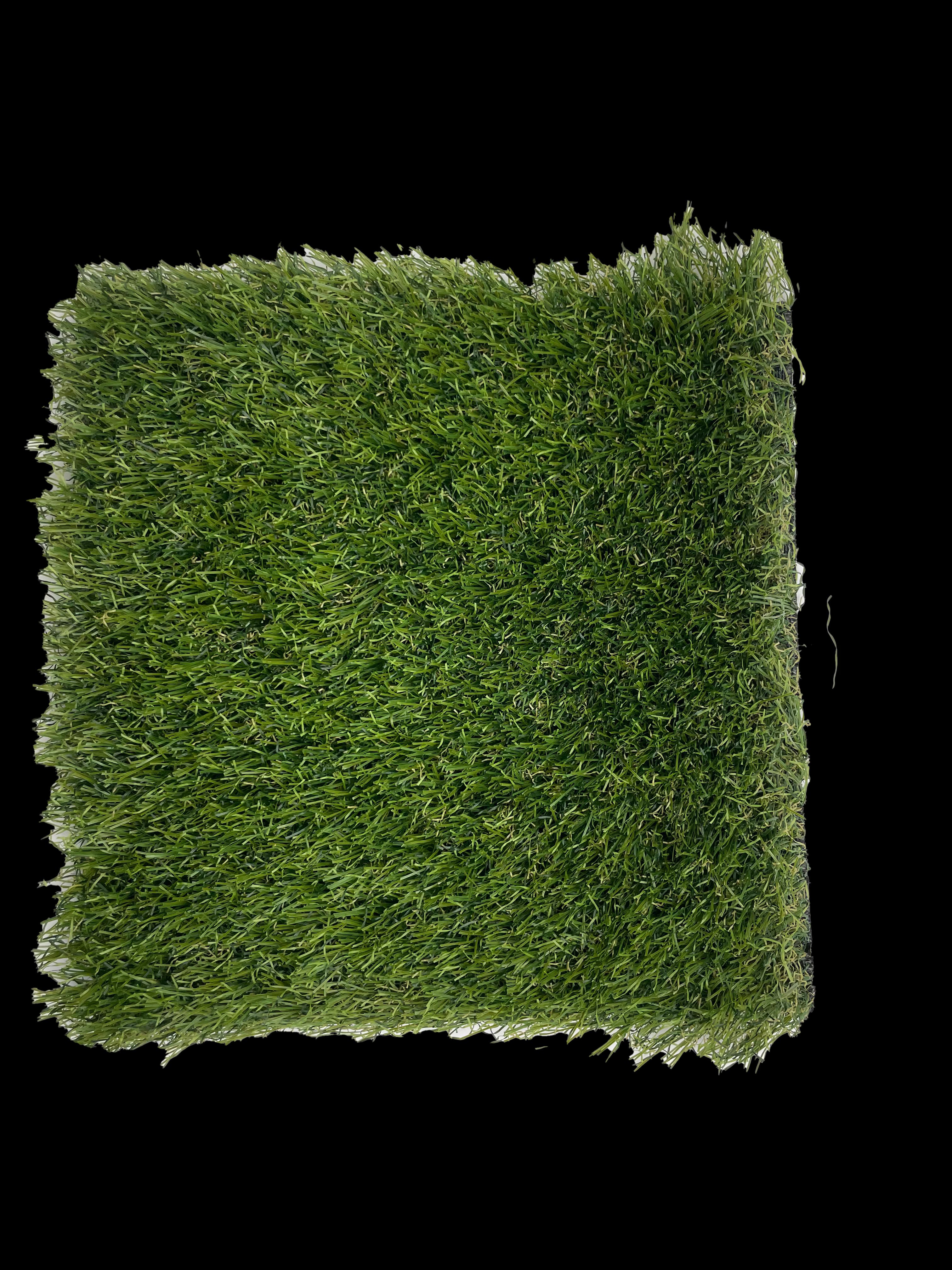 GP Yellowstone 40-13ft view 3