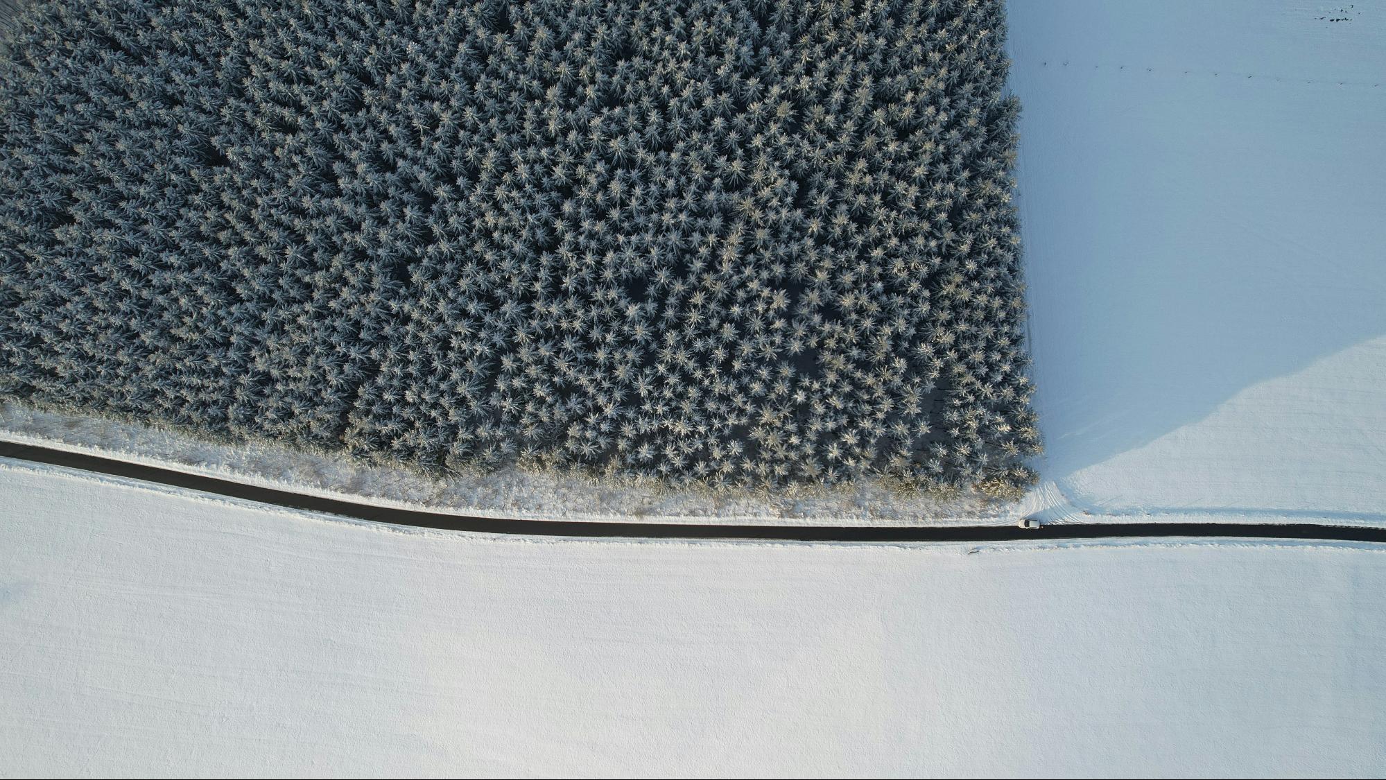 Regular maintenance and brushing of artificial turf