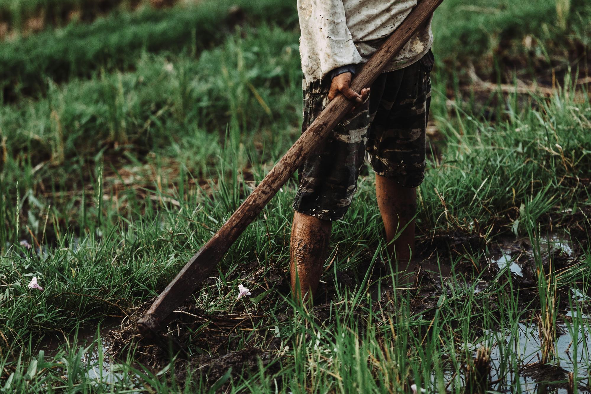 Professional artificial turf cleaning service