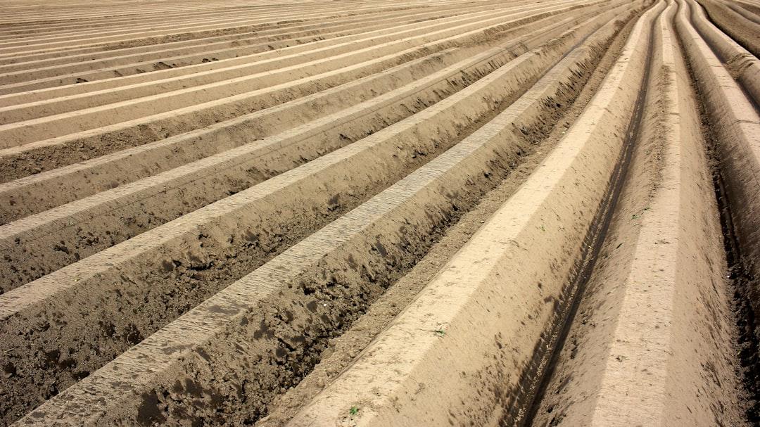 Professional turf installation cost breakdown